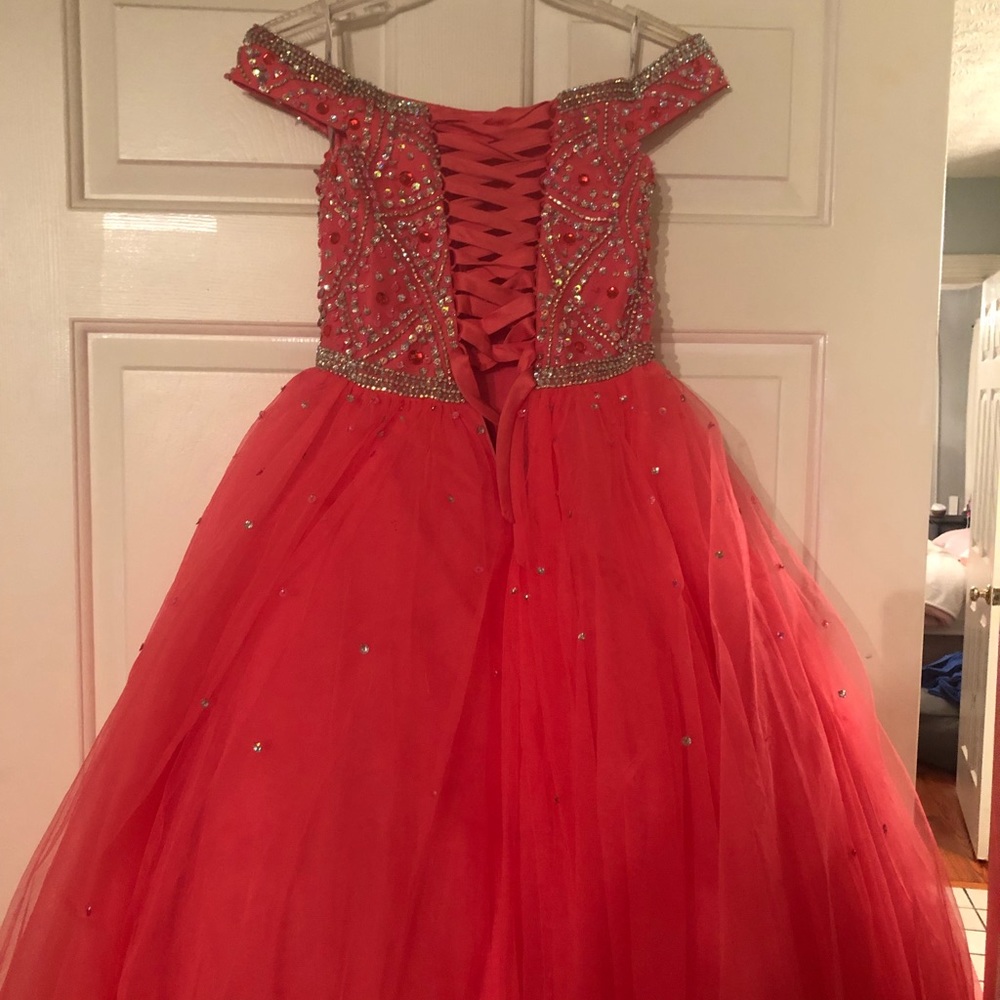 Tiffany Dress wore 1 time for pictures